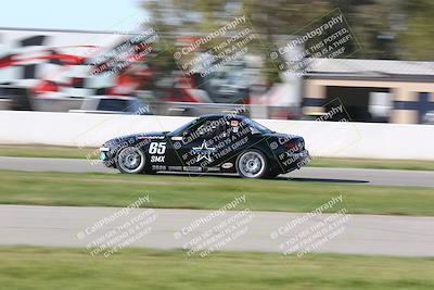 media/Mar-16-2024-CalClub SCCA (Sat) [[de271006c6]]/Group 6/Race/